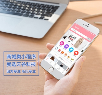 微信小程序拼團商城平臺定制開發(fā)開發(fā)云APP開發(fā)