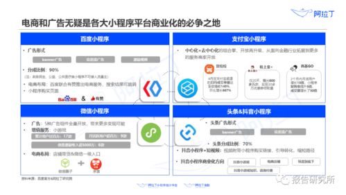 2020年上半年小程序互聯網發展白皮書 